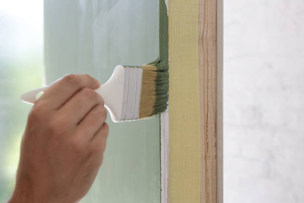Streamwood, IL Mold Removal Company