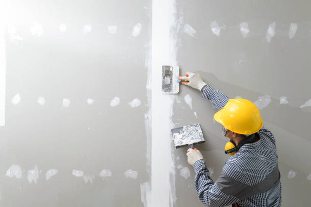 Mold Remediation for Vacation Homes in Streamwood, IL