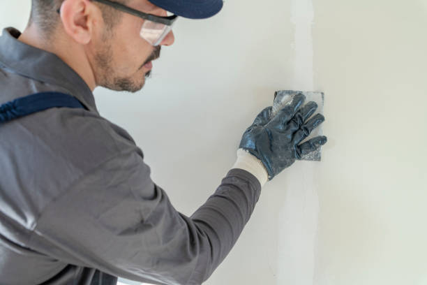 Best Mold Damage Restoration  in Streamwood, IL