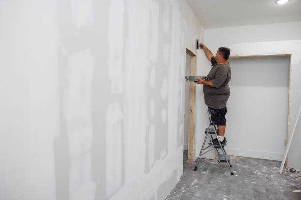 Best Attic Mold Removal  in Streamwood, IL