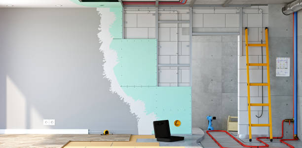 Best Real Estate Mold Inspection  in Streamwood, IL