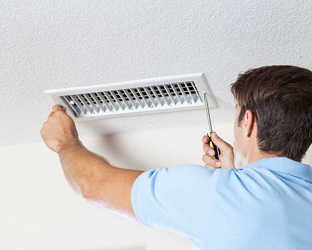 Mold Documentation for Insurance Claims in Streamwood, IL