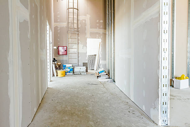 Best Post-Construction Mold Inspection  in Streamwood, IL