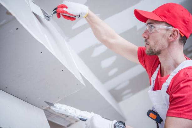 Best Mold Prevention Services  in Streamwood, IL